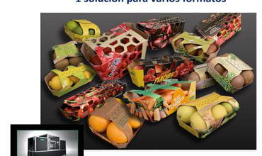 Soluciones de Envasado en cartón para Frutas y Verduras