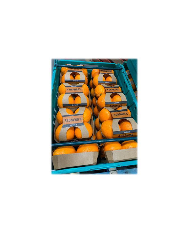 Bandejas de cartón con tapa para fruta | Servicios