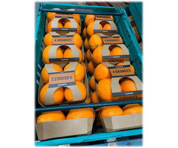 Bandejas de cartón con tapa para fruta | Servicios