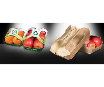 Bandejas de cartón con tapa para fruta | Servicios