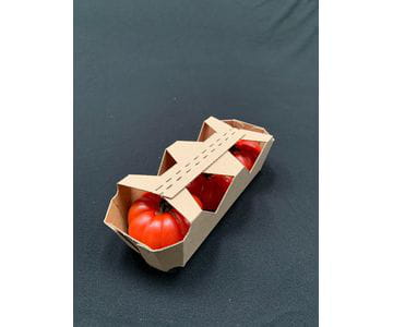 Bandejas de cartón con tapa para fruta | Servicios