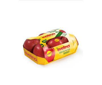 Bandejas de cartón con tapa para fruta | Servicios