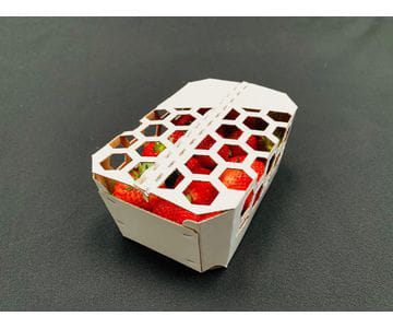 Bandejas de cartón con tapa para fruta | Servicios