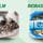BioBased Star Film | Servicios